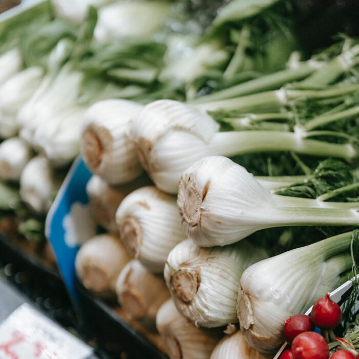 Spring Green Onion