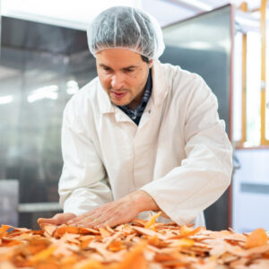 Valorisation patates douces hors-calibre