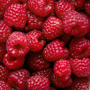 Framboises