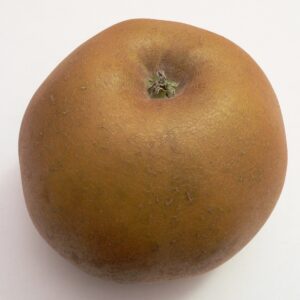 Pommes Canada Cat1 (1kg)