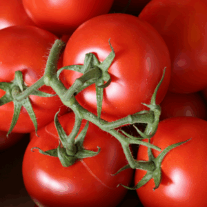 Tomates moyennes CAT 1 (1kg)