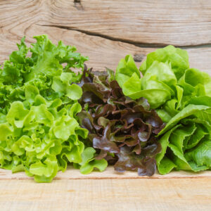Vegetables for salad consisting of Cos lettuce, Butter head, Red oak, Green oak and Coral on wood table.