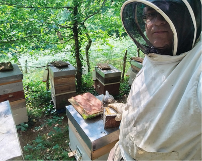 Jérôme Dordogne Limousin Miel