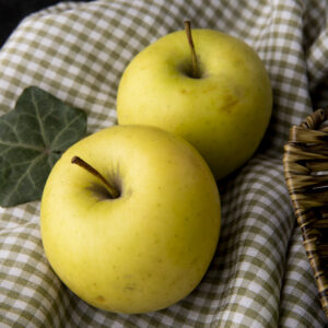 SSUCv3H4sIAAAAAAAACpyR227DIAyG7yftHSKuG6k5LclepdqFOSRBpVAB2TRVffcZCBXXu8Of7d/+zeP9raoIBScZ+aweIcJYKrU7b8FLoxGfTwe3QnNhSyK49MZKUCWk4Nmm4SYQ6l2pgJ8xSZwHvzvhwrADMfBiRY0EXxJpo0uKq5yISezAFCGngrmdRpZREv9XZ3p8ZTewCs1+48KFESuUgGTkkkrJ9ccLeyutwc6lKVx9GwYqFHSF0t1KJvVatBm/xSvnNmZ27W1Y4bU5Ucbcgapw4gU1ReYbOIflPPNiEMM/NbdijjY+GjhUCcefCGHTtV3bf3TTeO6HcZyG5ihIv7dJ1InrZCGM2VXy0roMG5BxmmjP567mSzvVvWCipjBBvfTzwOaZDmPb4OGffwAAAP//AwBKzSIthwIAAA==