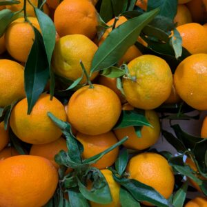 Clémentines Corses IGP (1kg)