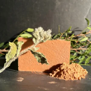 ECHLO Savon Solide Surgras Corps – Bourrache officinale